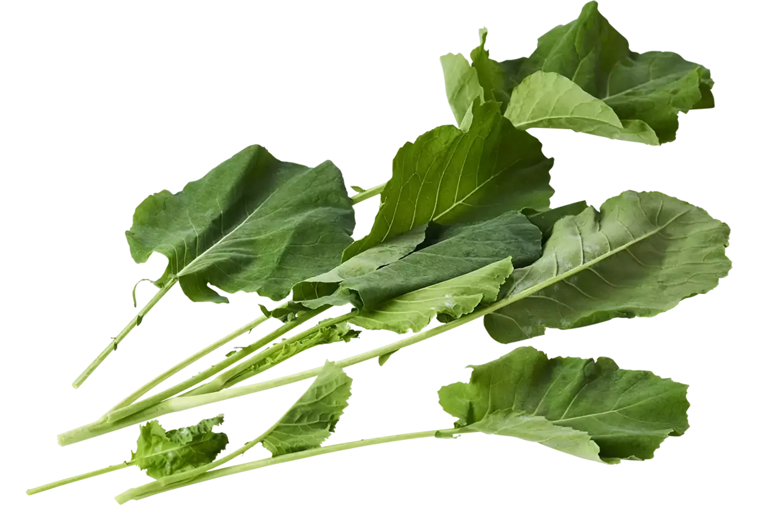 Mosterdkool 200gr. stuk 1