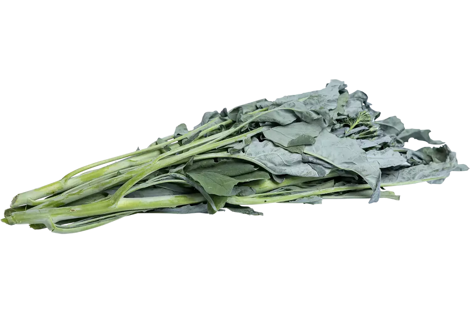 Bladbroccoli 250gr. stuk 1