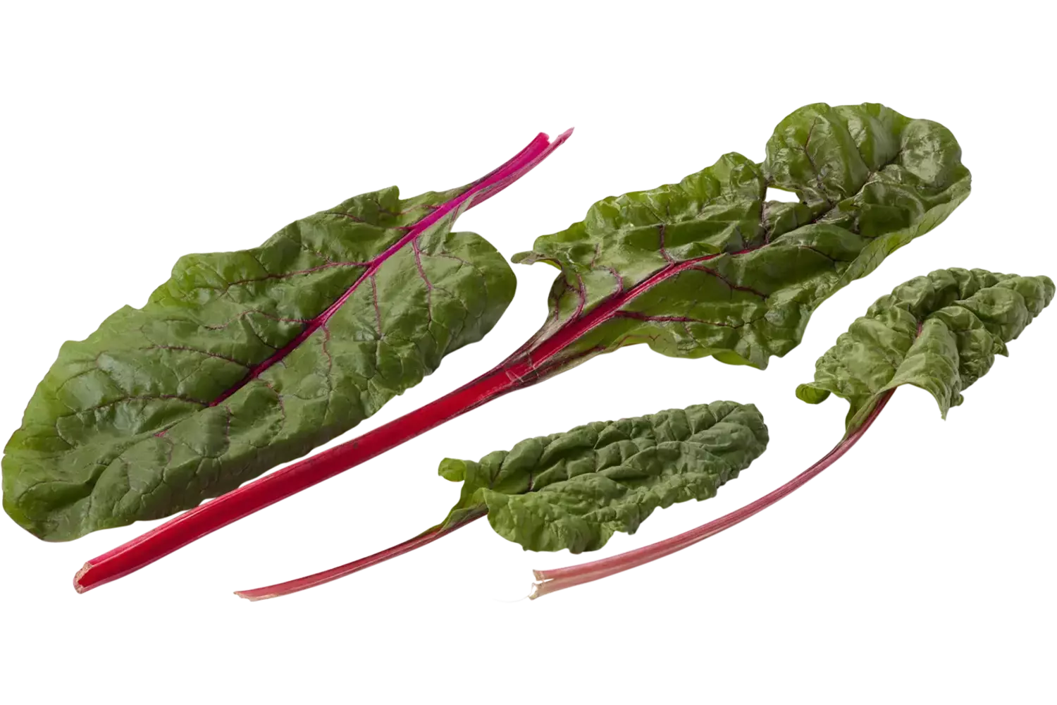 Snijbiet rood verpakt 250gr stuk 1