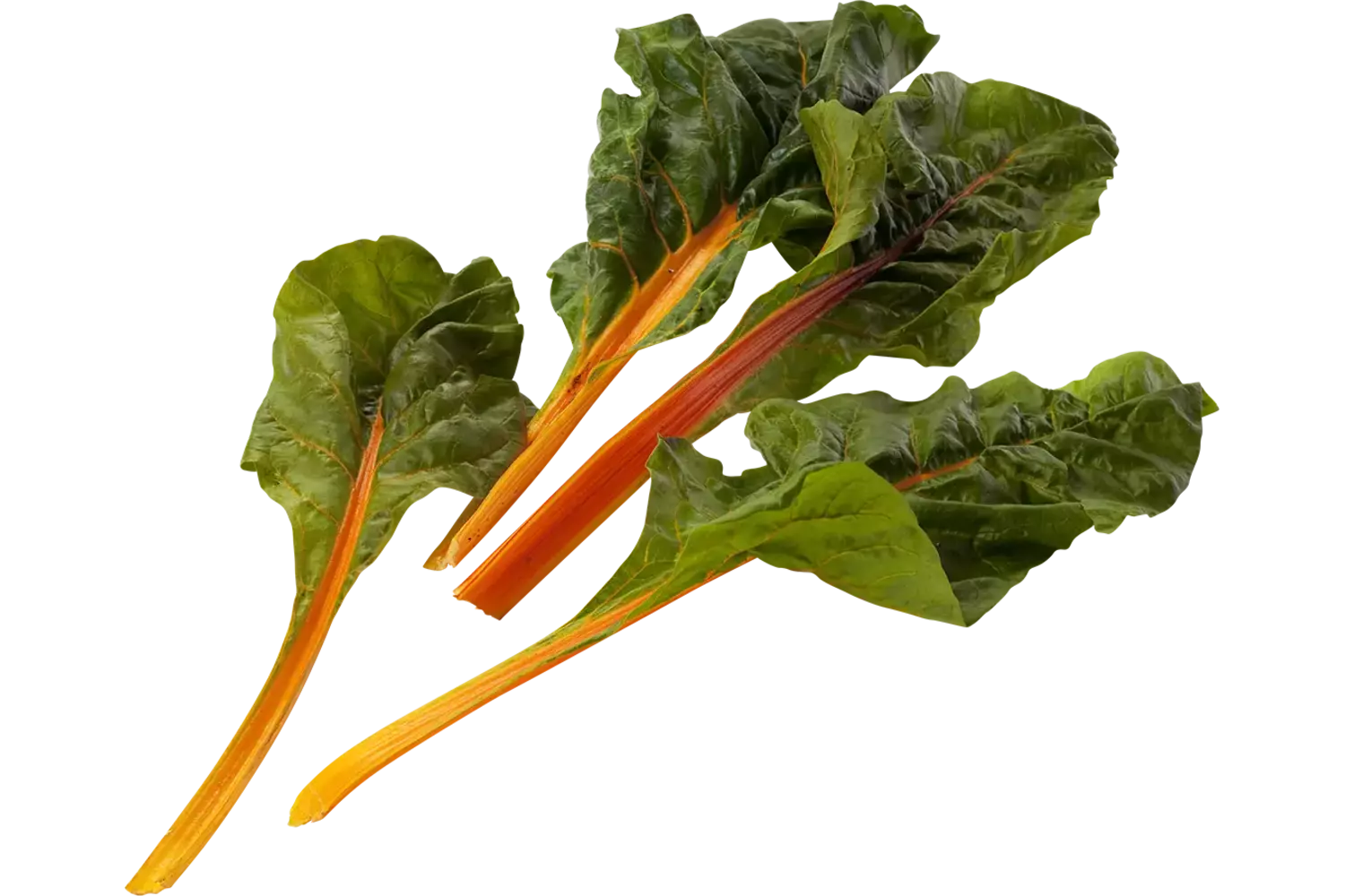 Snijbiet oranje kist 1 kilogram 1