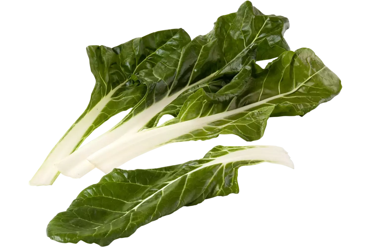 Snijbiet wit verpakt 250gr stuk 1