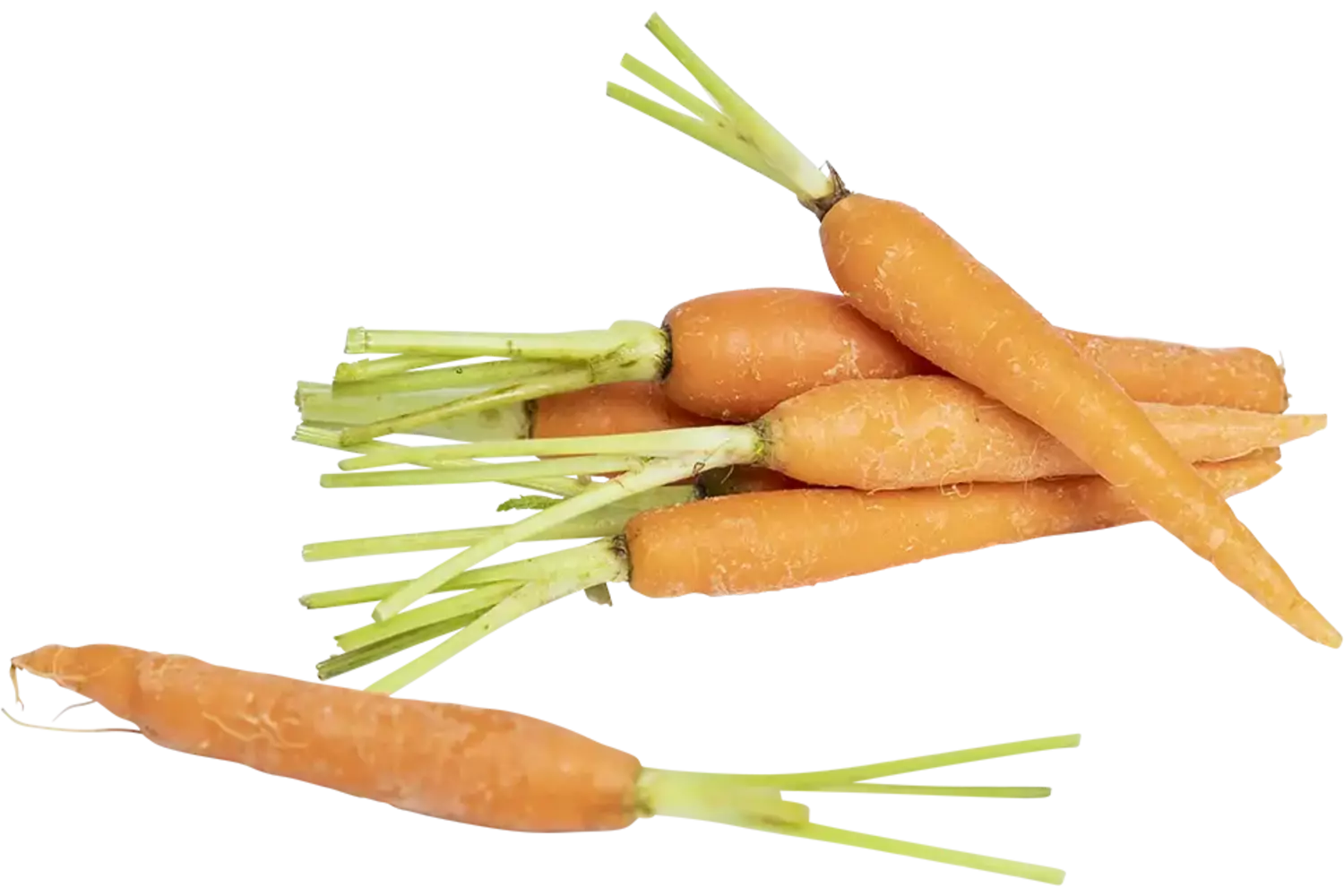 Mini bospeen 1kg stuk 1