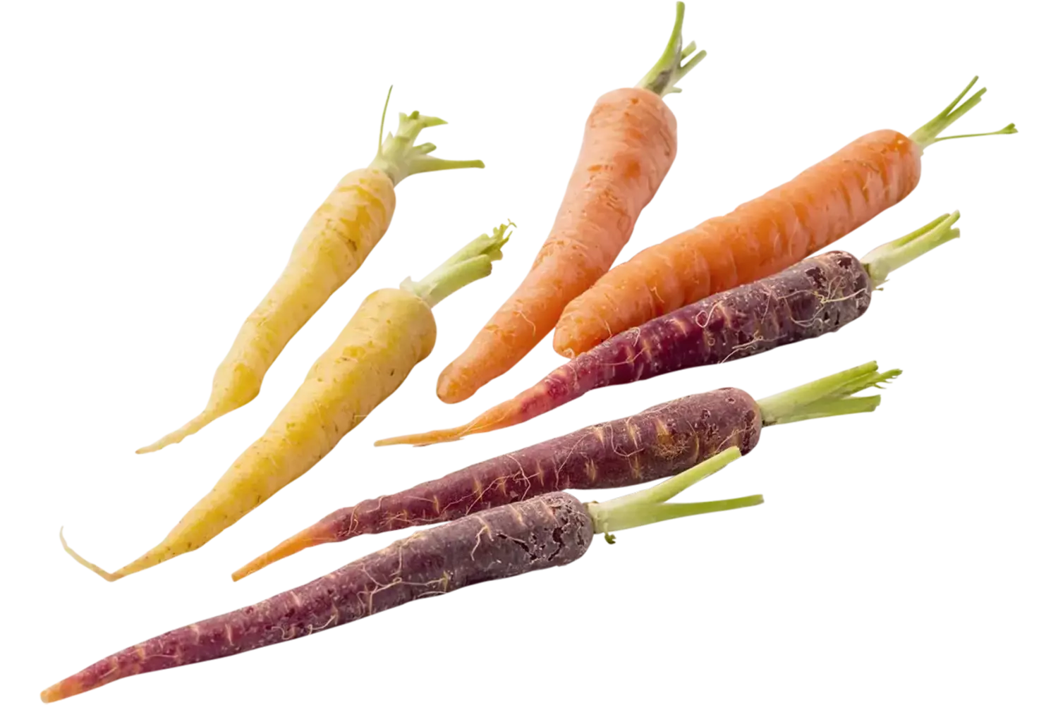 Mini bospeen rainbow (3 kleuren) 200gr stuk 1