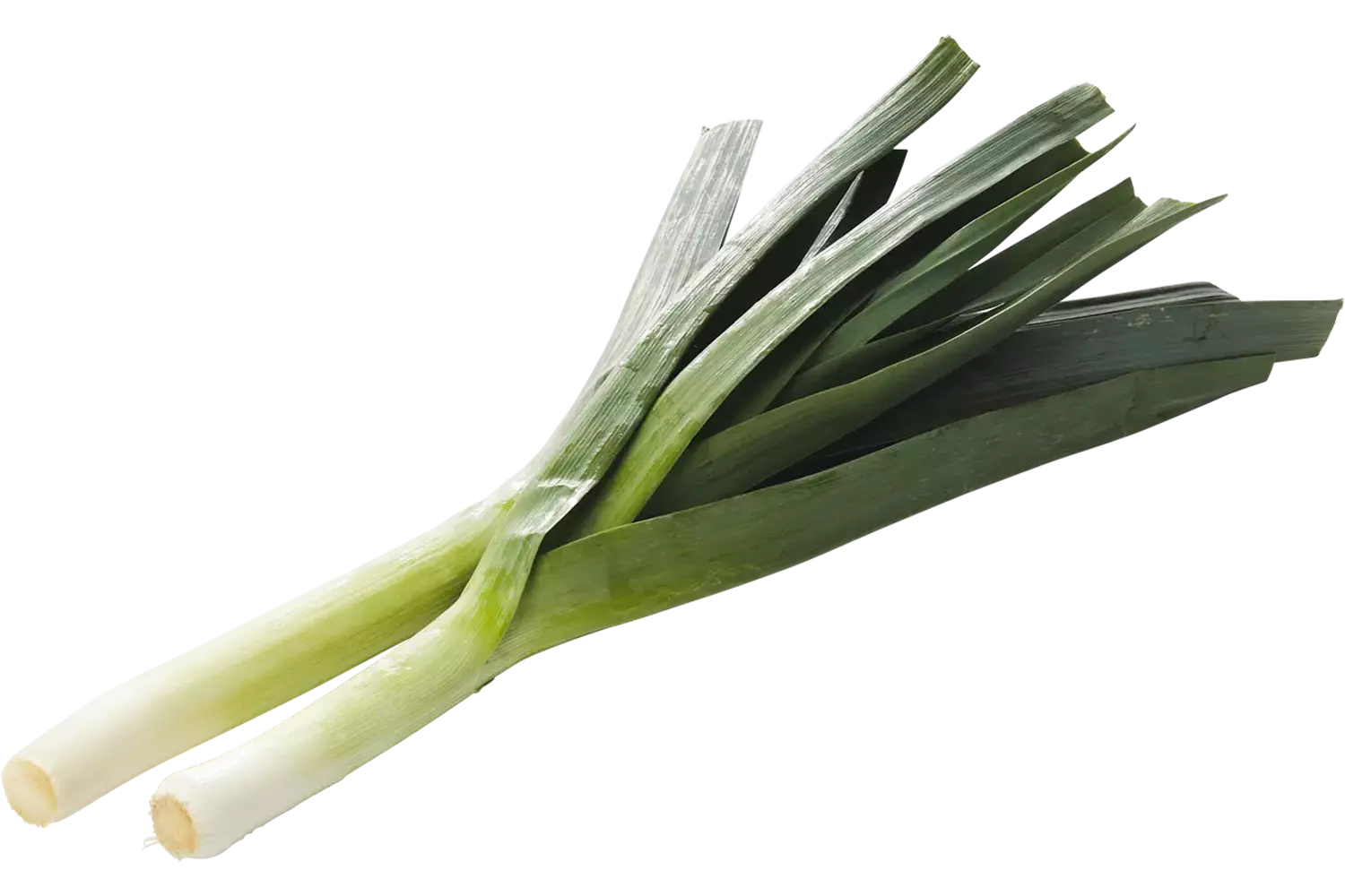 Prei verpakt 1kg stuk 1