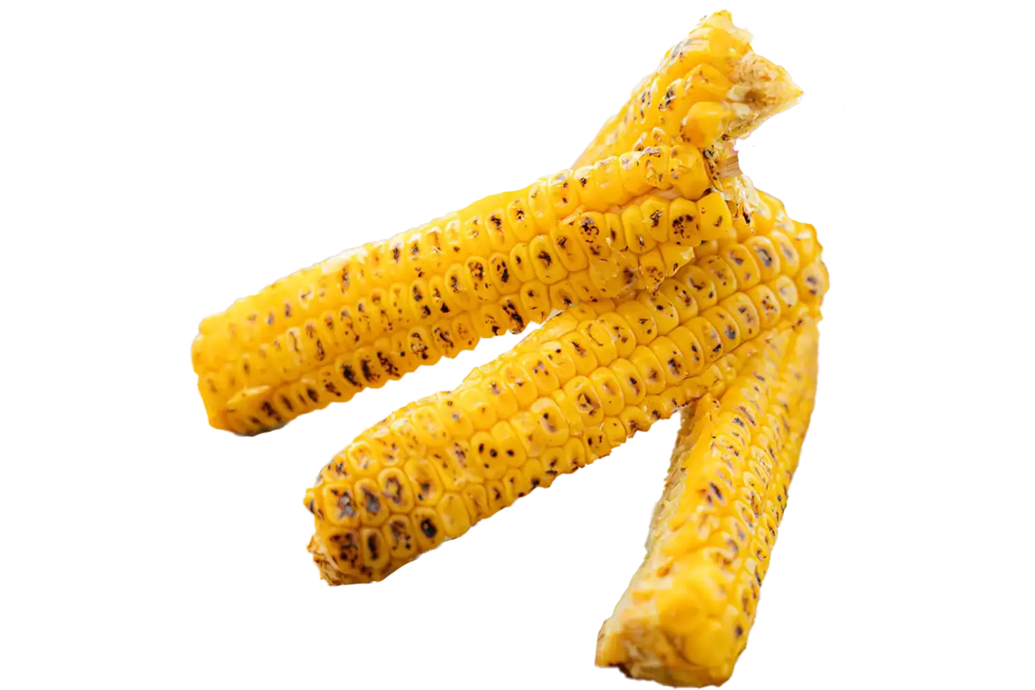 Corn rib roasted 500gr stuk 1
