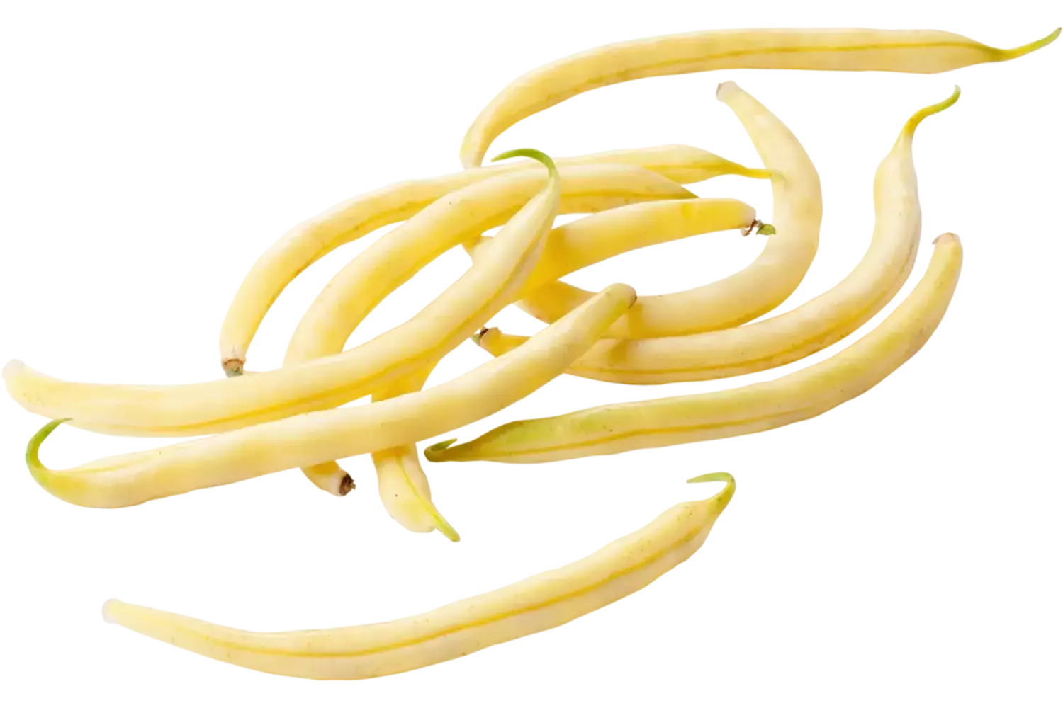 Boter bonen verpakt 250gr stuk 1