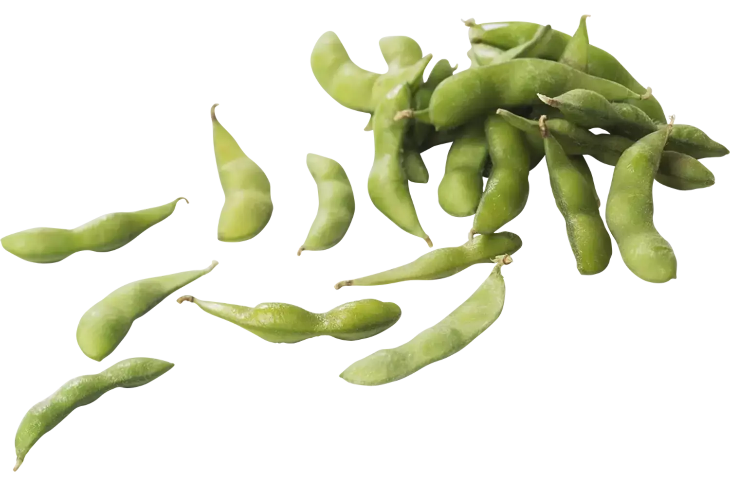 Edamame bonen ongepeld (diepvries) 500gr stuk 1