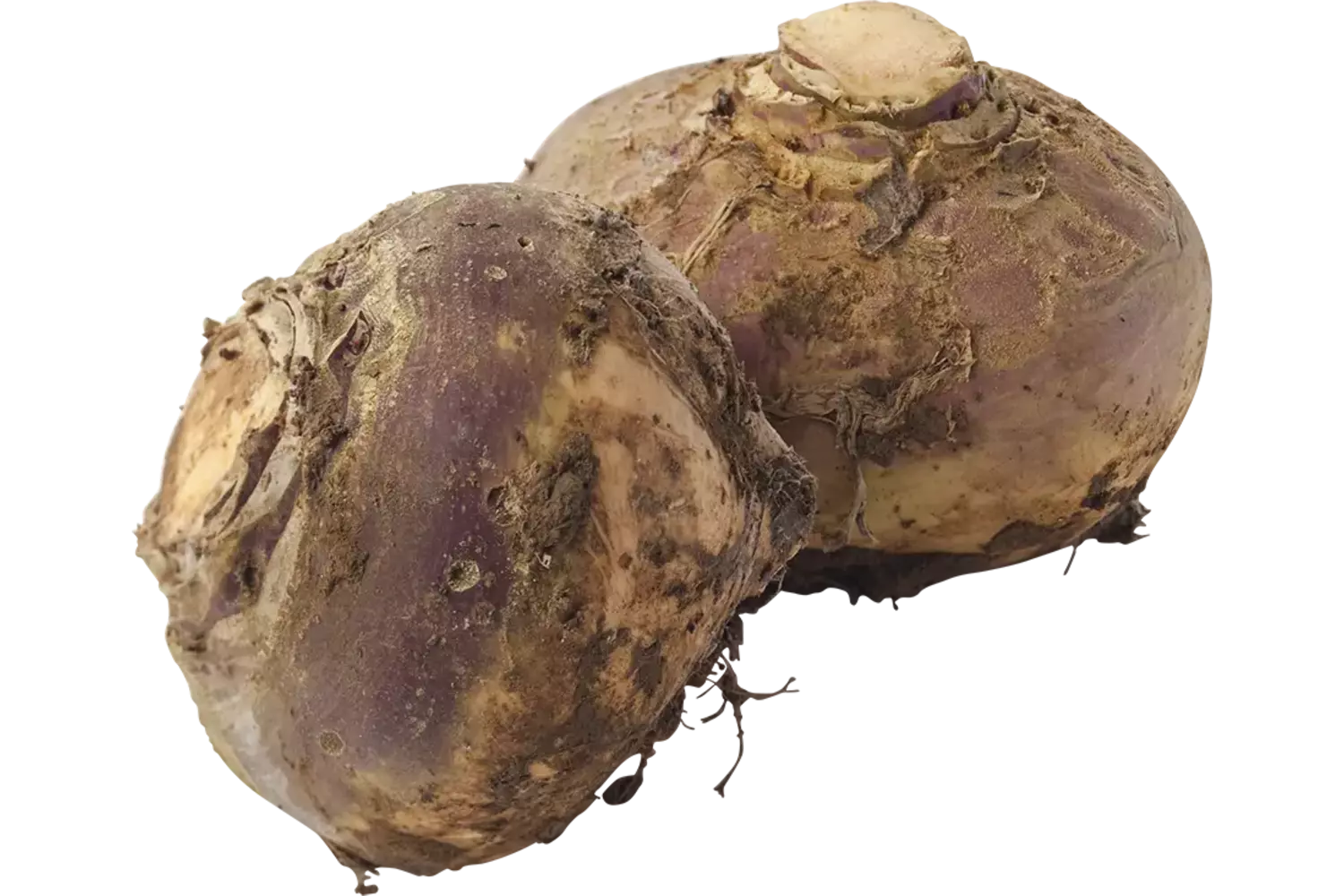 Koolraap +-- 1kg stuk 1