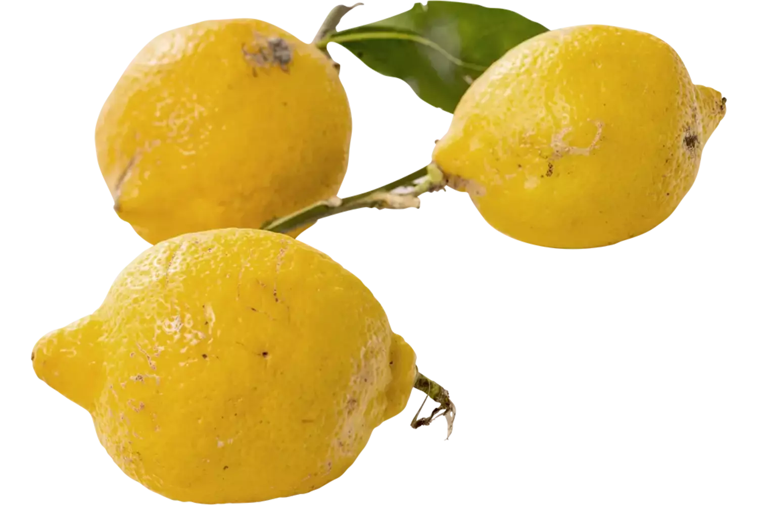 Amalfi citroenen kist 8 kilogram 1