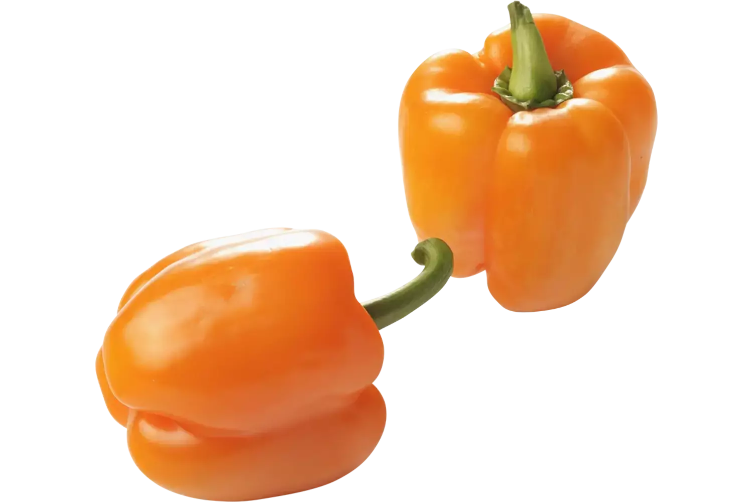 Paprika oranje verpakt 3st stuk 1