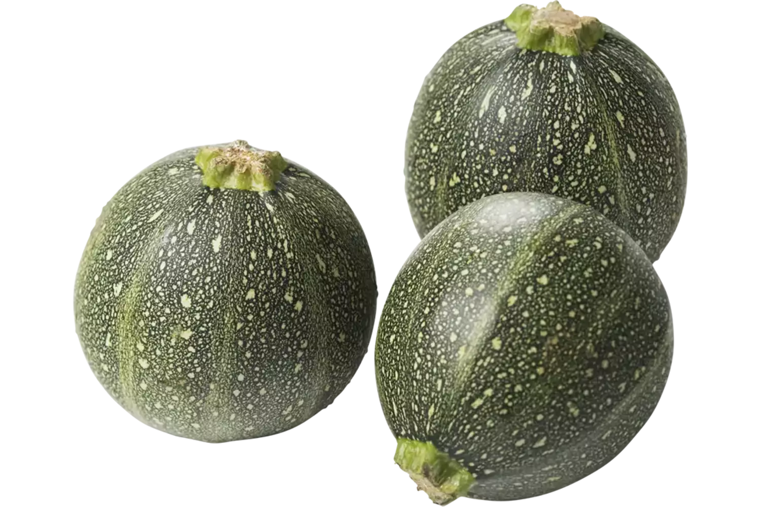 Courgette bol stuk 1