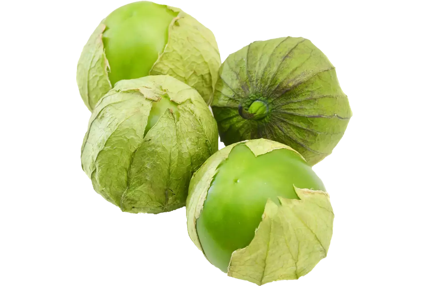 Tomatillo doos 2kg stuk 1