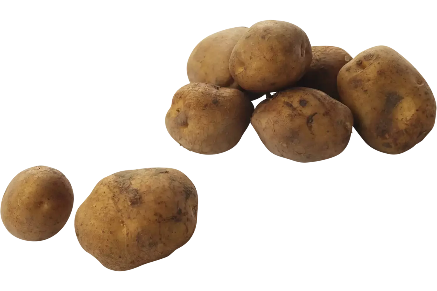 Opperdoezen ronde 1kg stuk 1