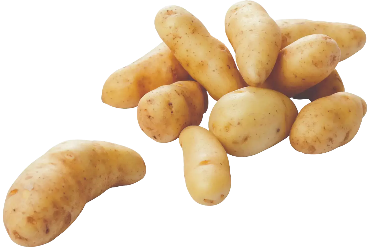 La Ratte aardappelen 1kg stuk 1
