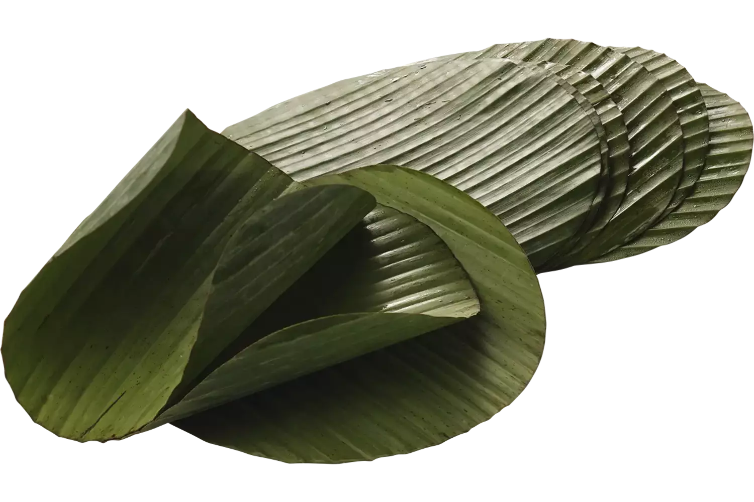 Bananenblad rond 20cm 500gr stuk 1