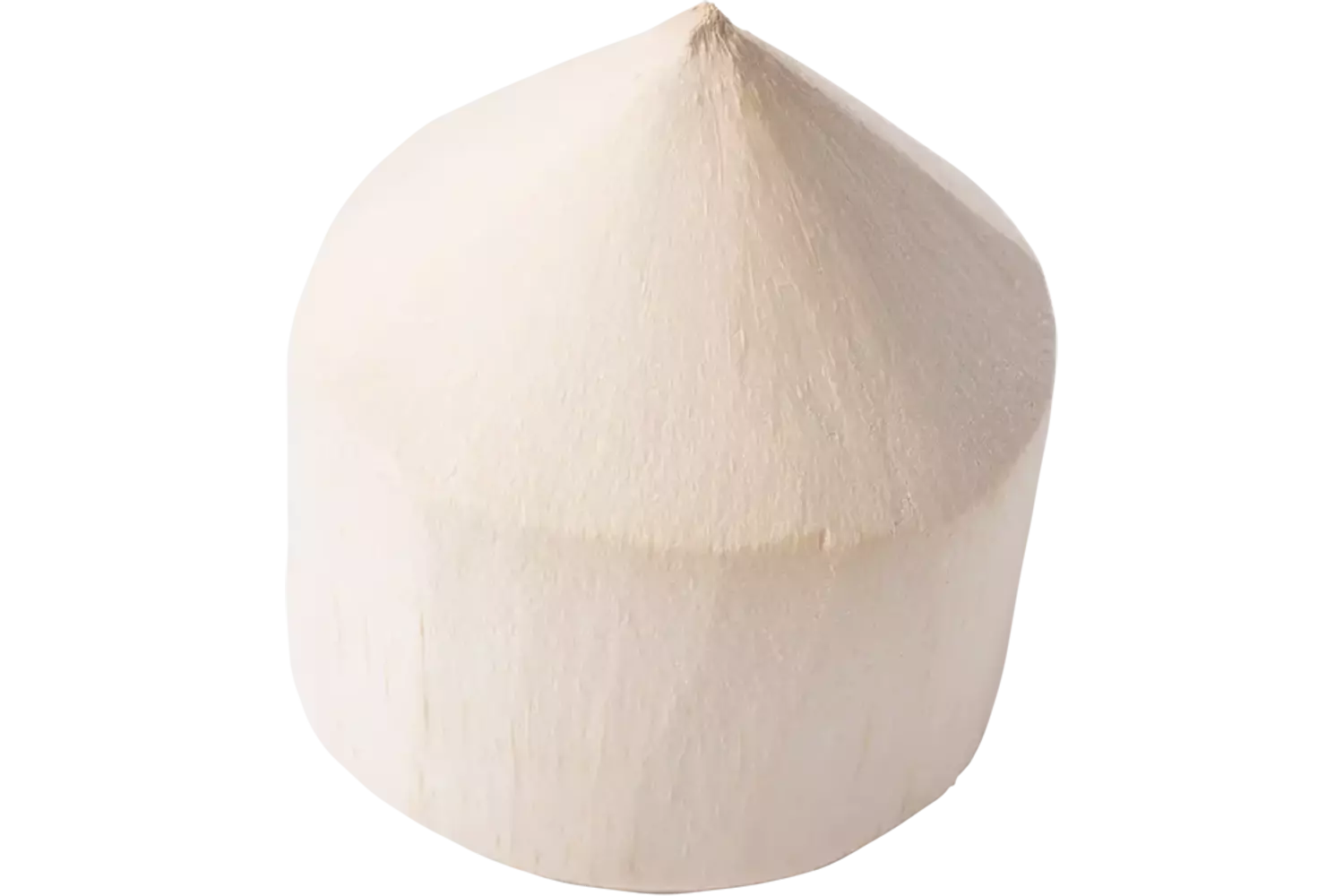 Drink kokosnoot stuk 1