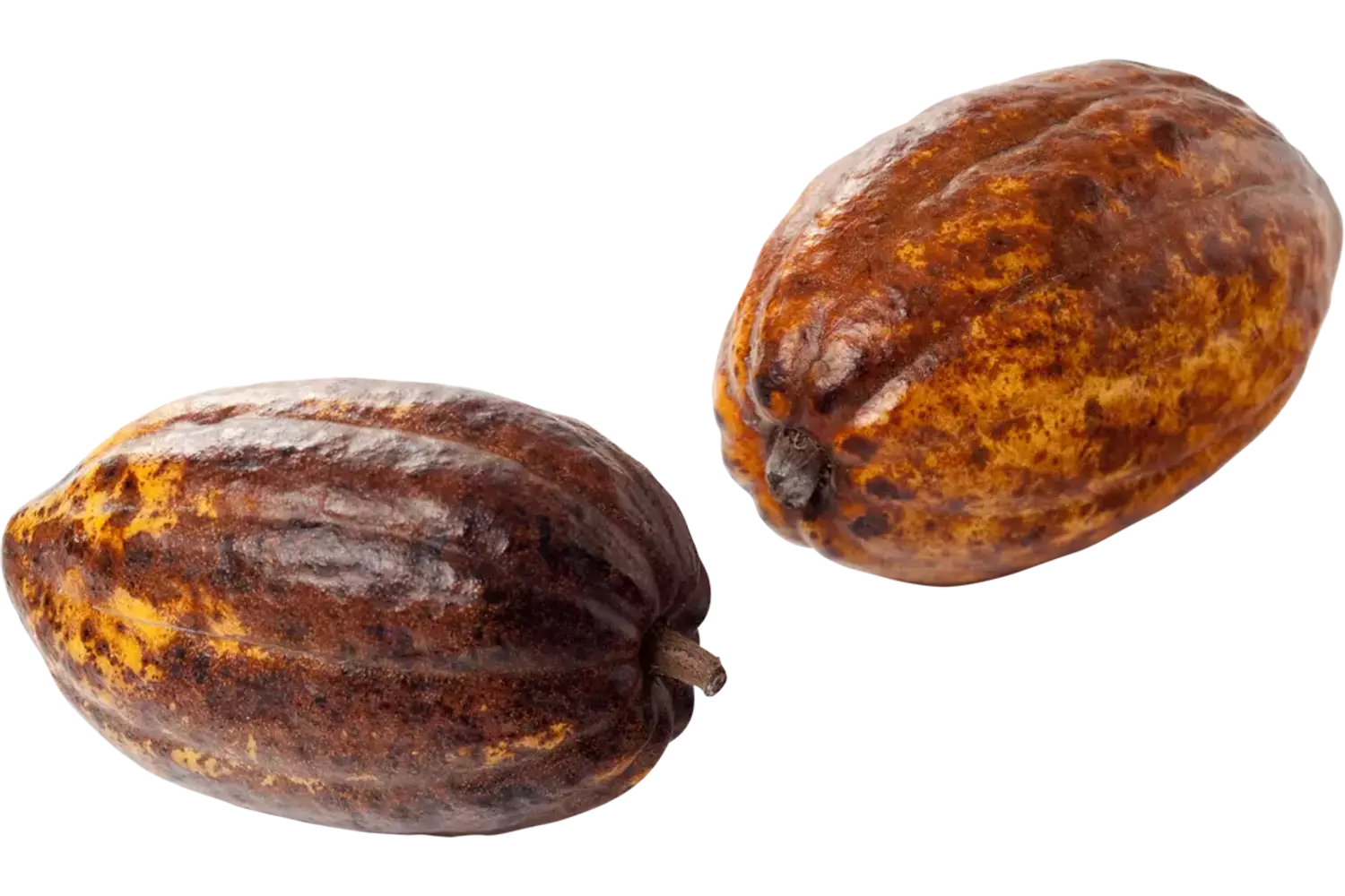 Cacao fruit kist 3 kilogram 1