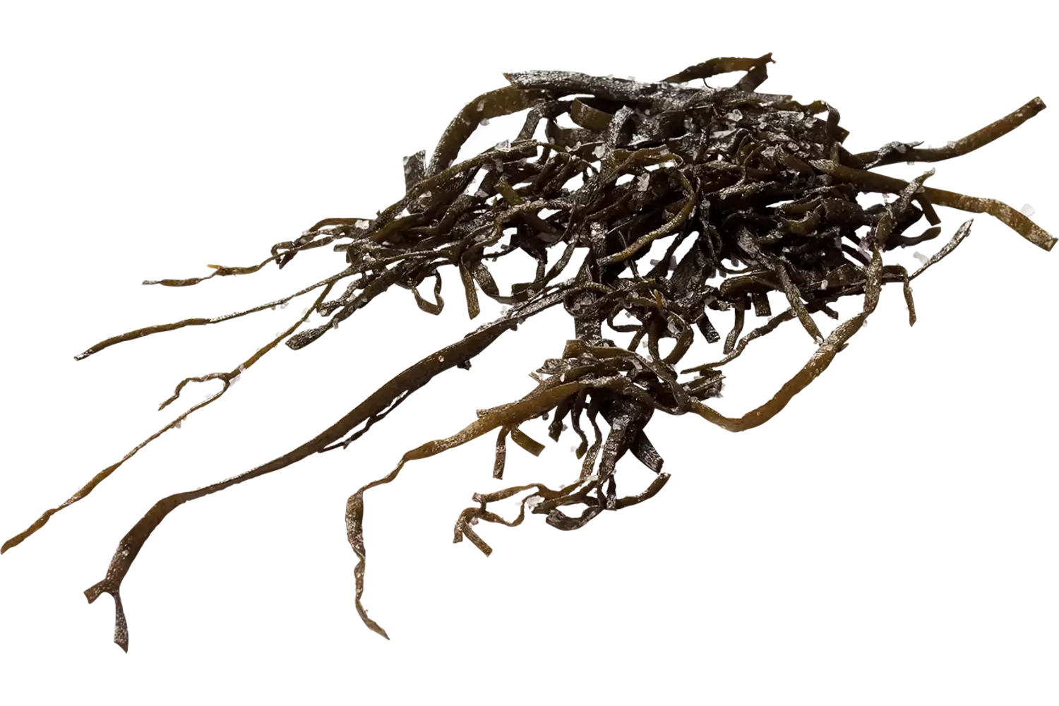 Zeespaghetti (zeewier) 250gr stuk 1