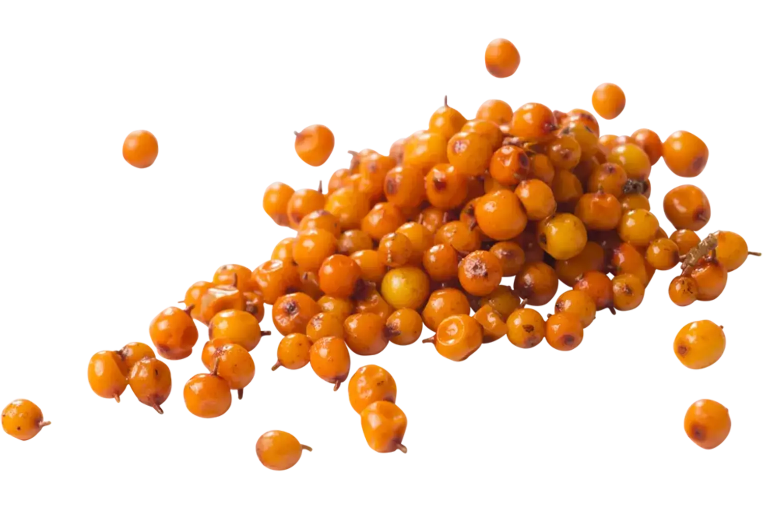Duindoornbessen (diepvries) 500gr stuk 1