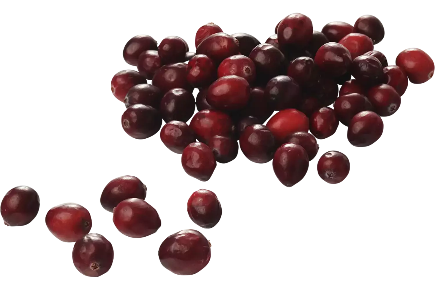 Vossenbessen (diepvries) 500gr stuk 1