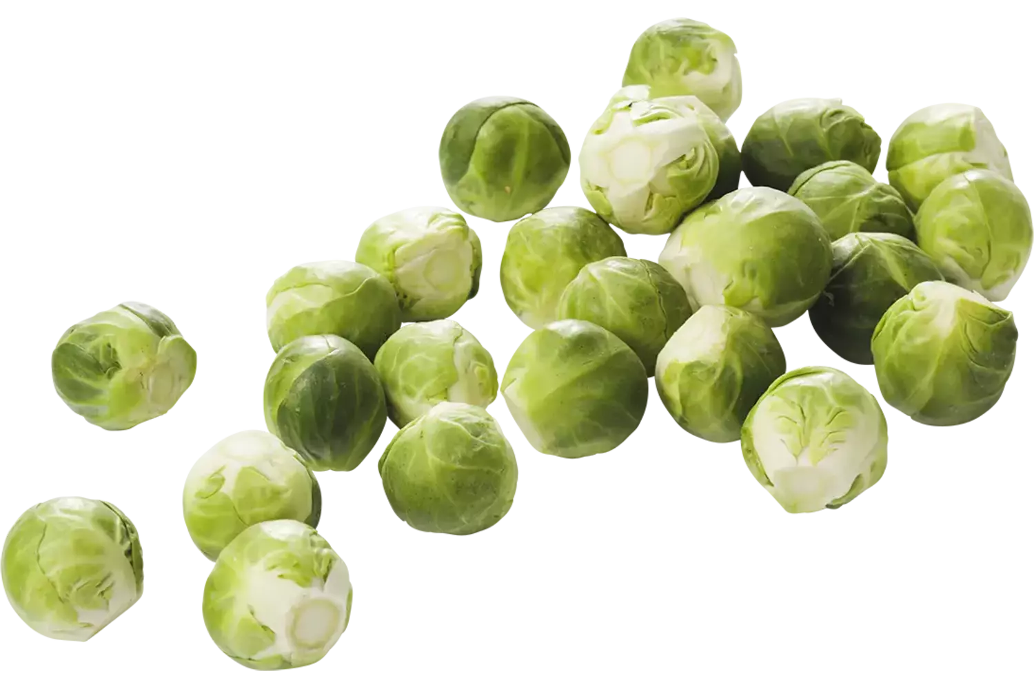 Spruitjes D verpakt 500gr stuk 1