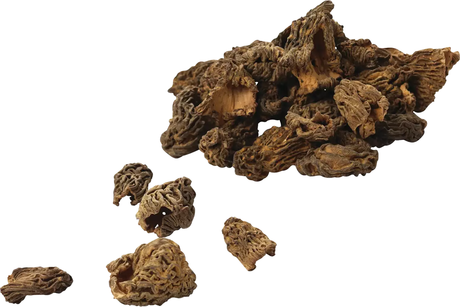 Morilles gedroogd verpakt 100gr stuk 1