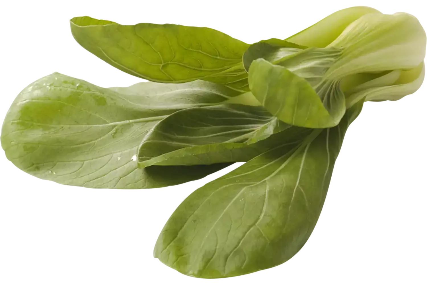 Shanghai paksoi verpakt 500gr stuk 1