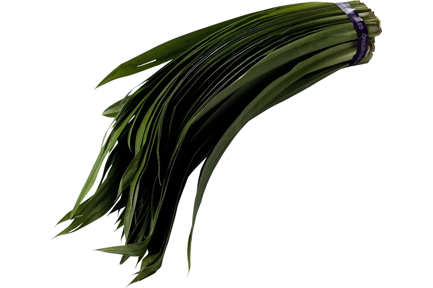 Pandan blad 250gr stuk 1
