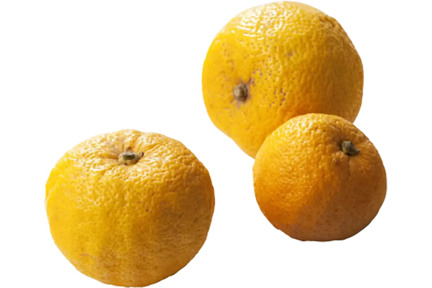 Yuzu limes verpakt 500gr stuk 1