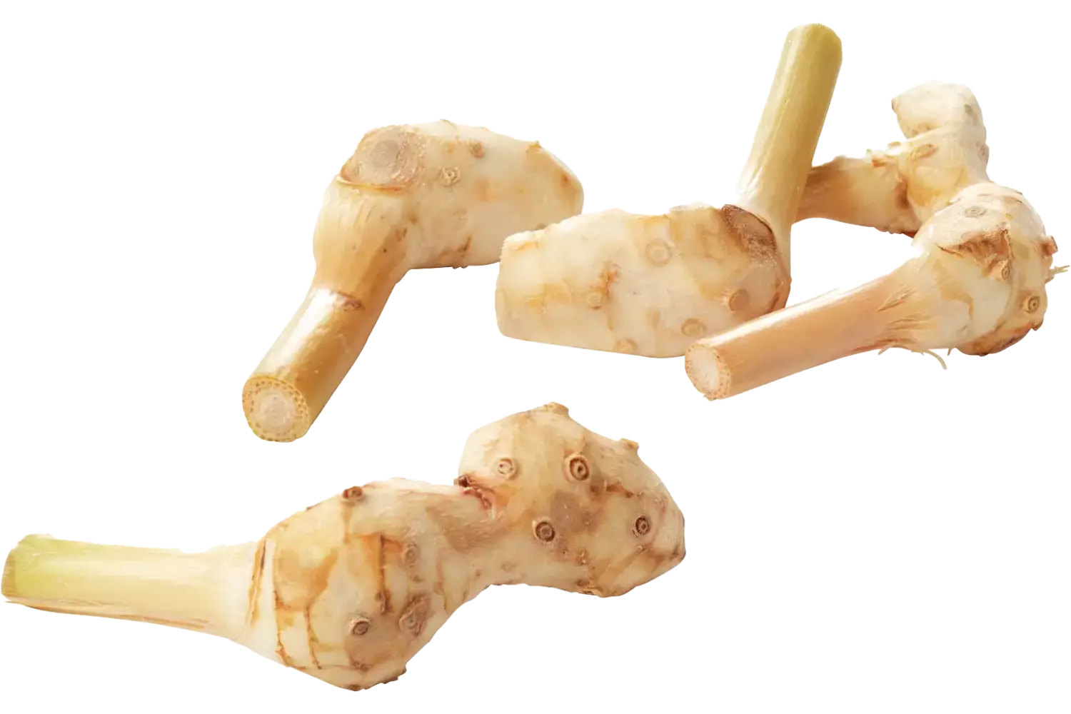 Laos - galangal verpakt 250gr stuk 1