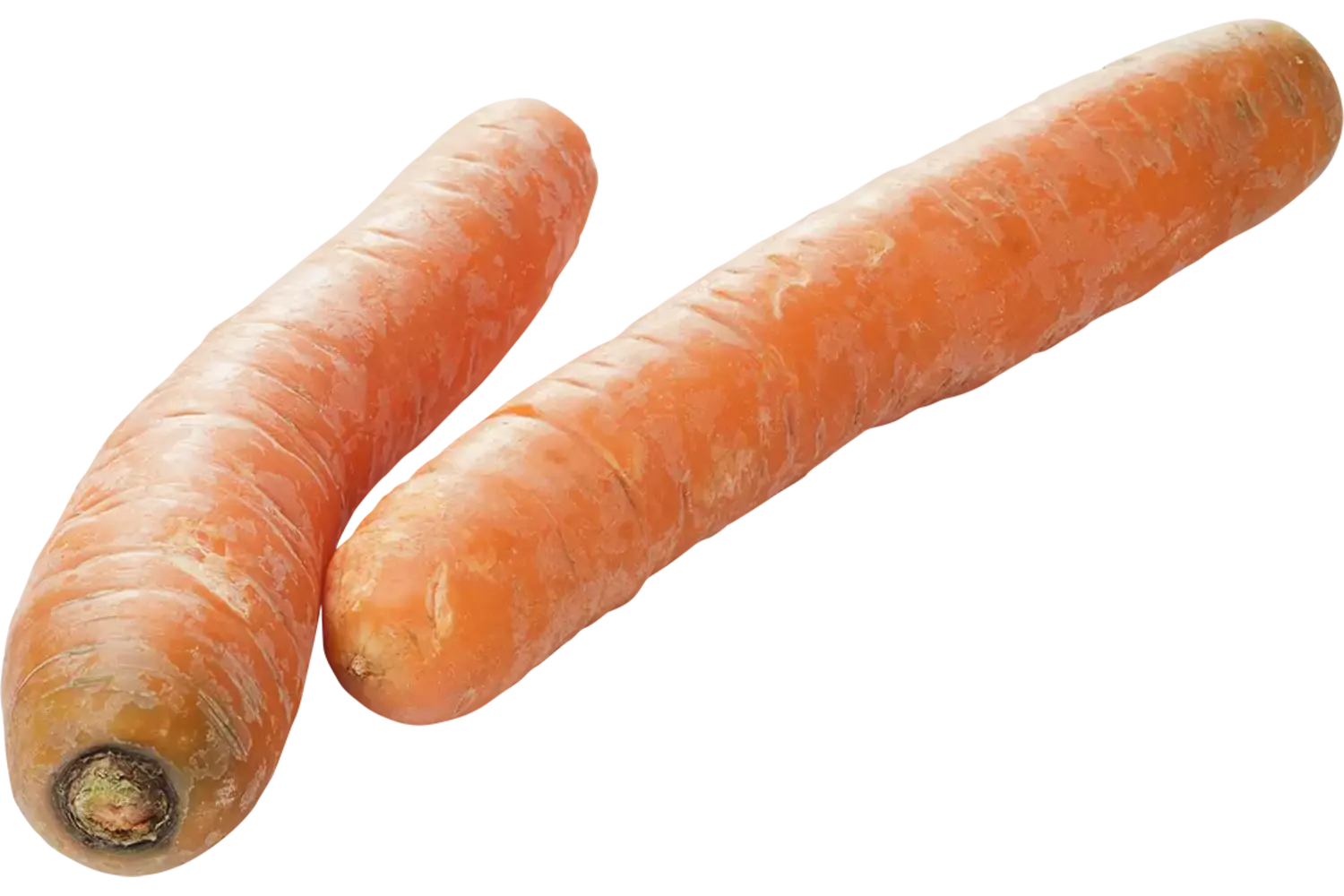 Winterpeen middel verpakt 1kg stuk 1
