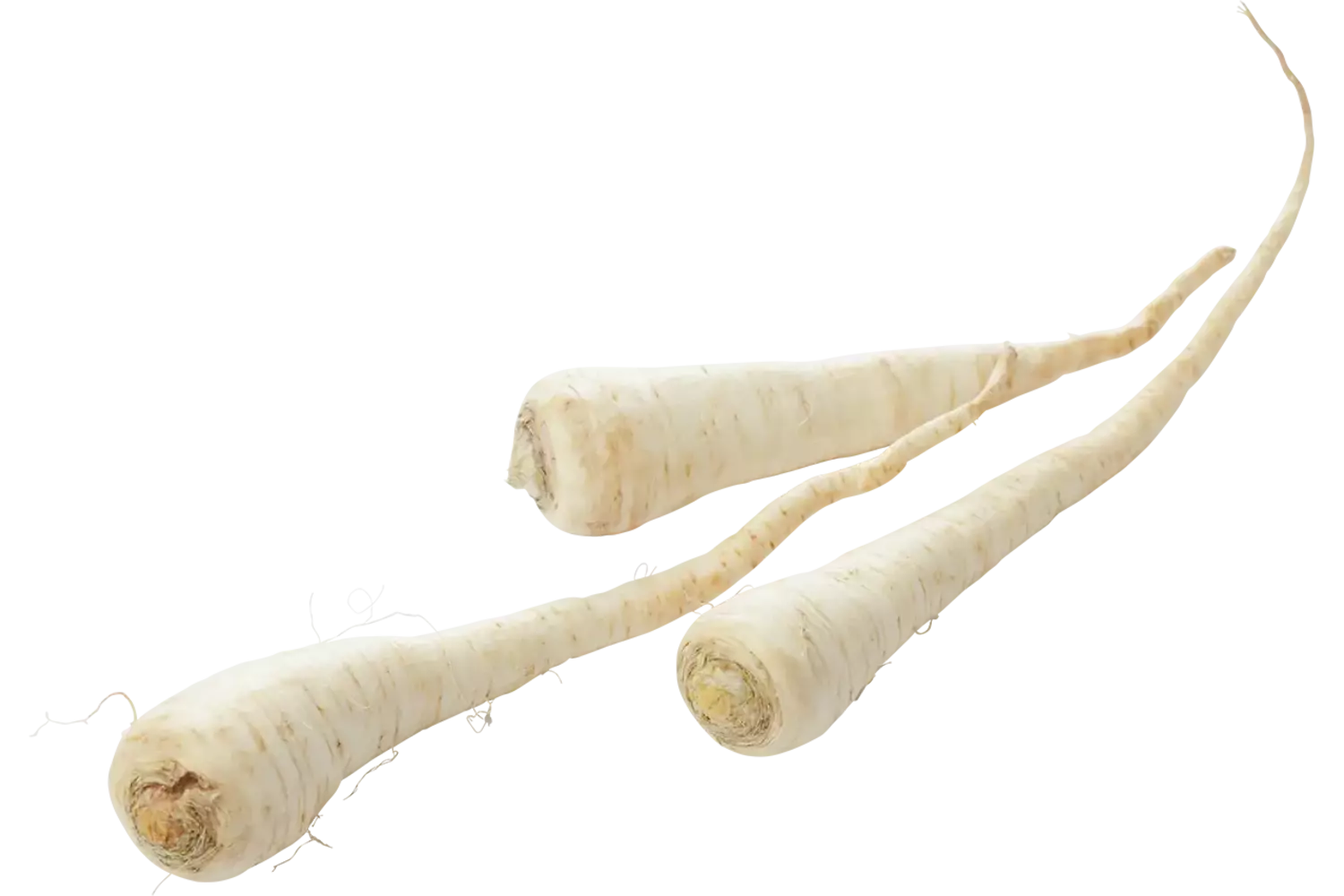 Peterseliewortel verpakt 1kg stuk 1