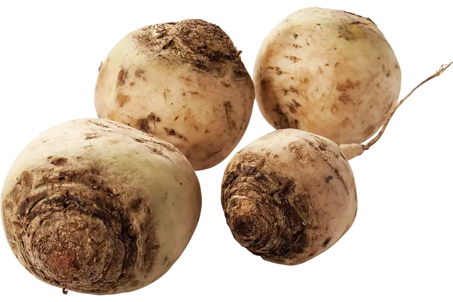 Bieten wit verpakt 1kg stuk 1