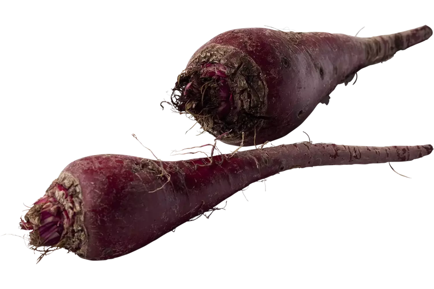 Bieten oer verpakt 1kg stuk 1
