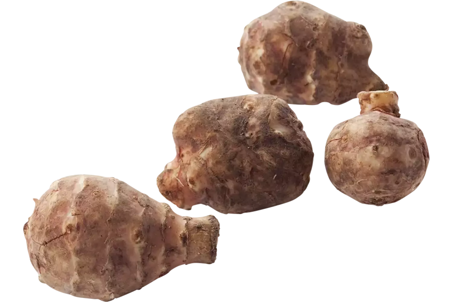 Topinamboer - aardperen verpakt 1kg stuk 1