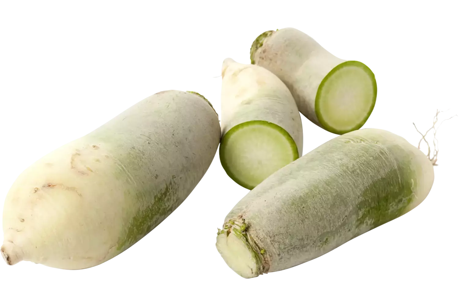 Green meat radijs verpakt 1kg stuk 1