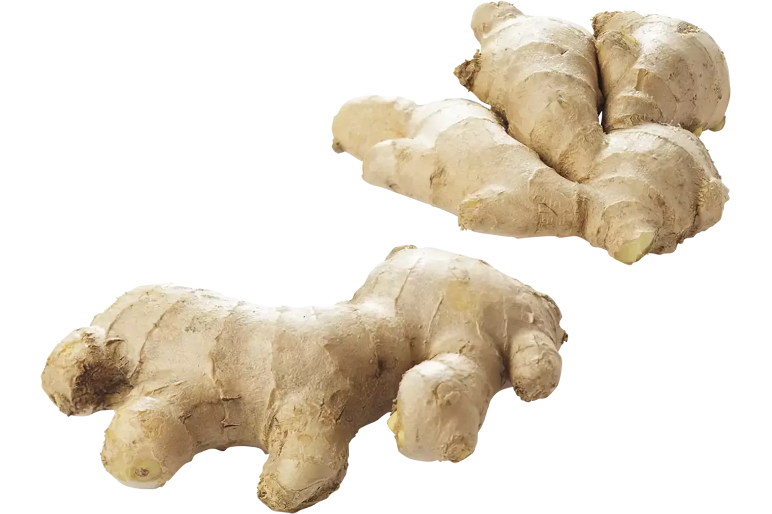 Gember verpakt 1kg stuk 1