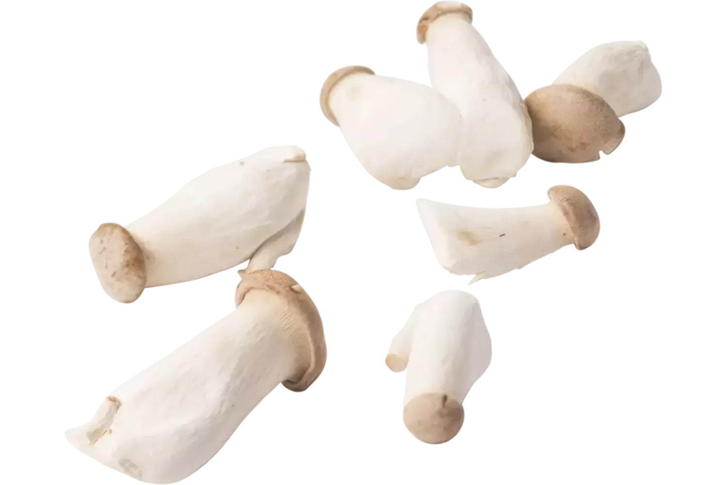 King oyster verpakt 500gr stuk 1
