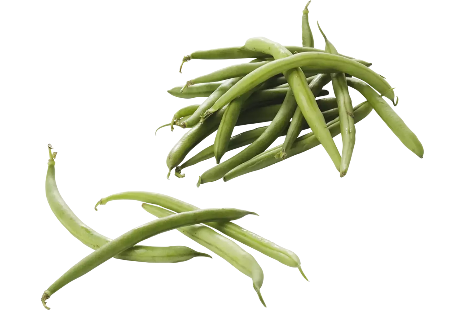 Sperziebonen verpakt 500gr stuk 1