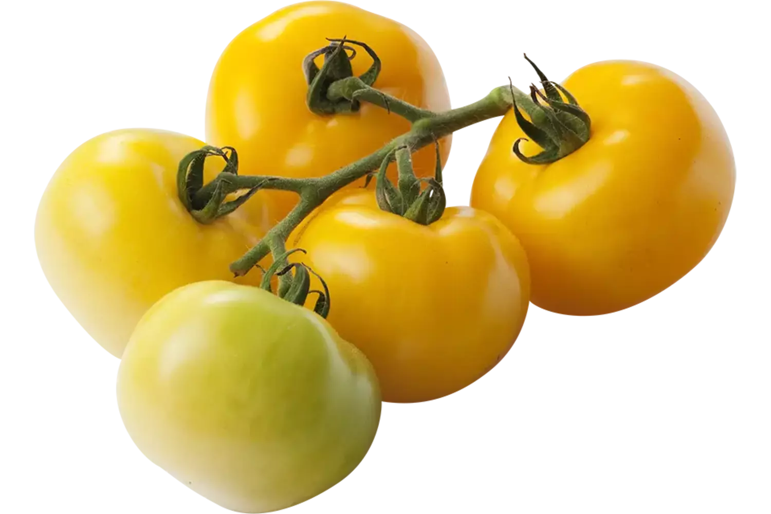 Tomaten geel verpakt 1kg stuk 1