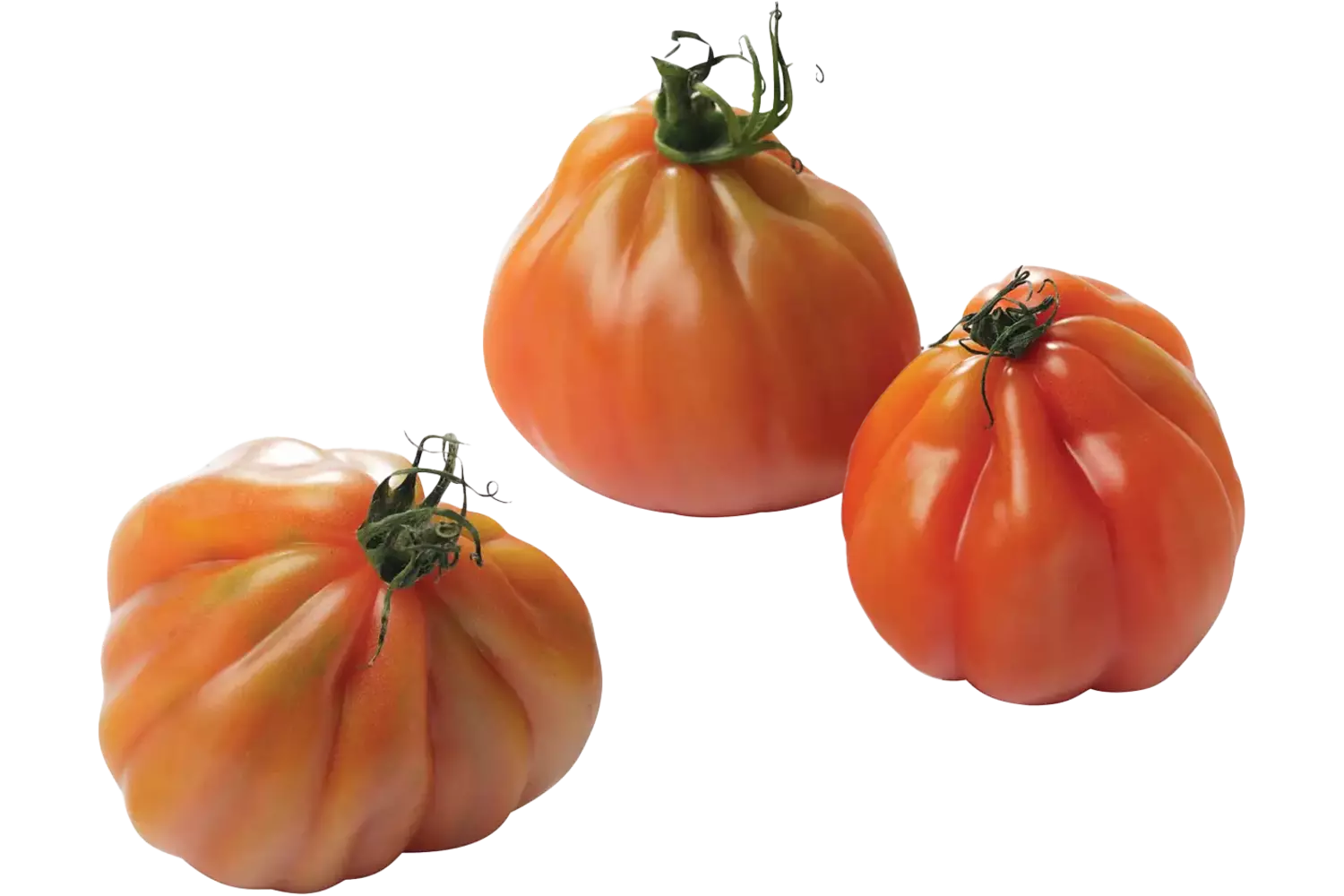Coeur de boeuf tomaat verpakt 500gr stuk 1