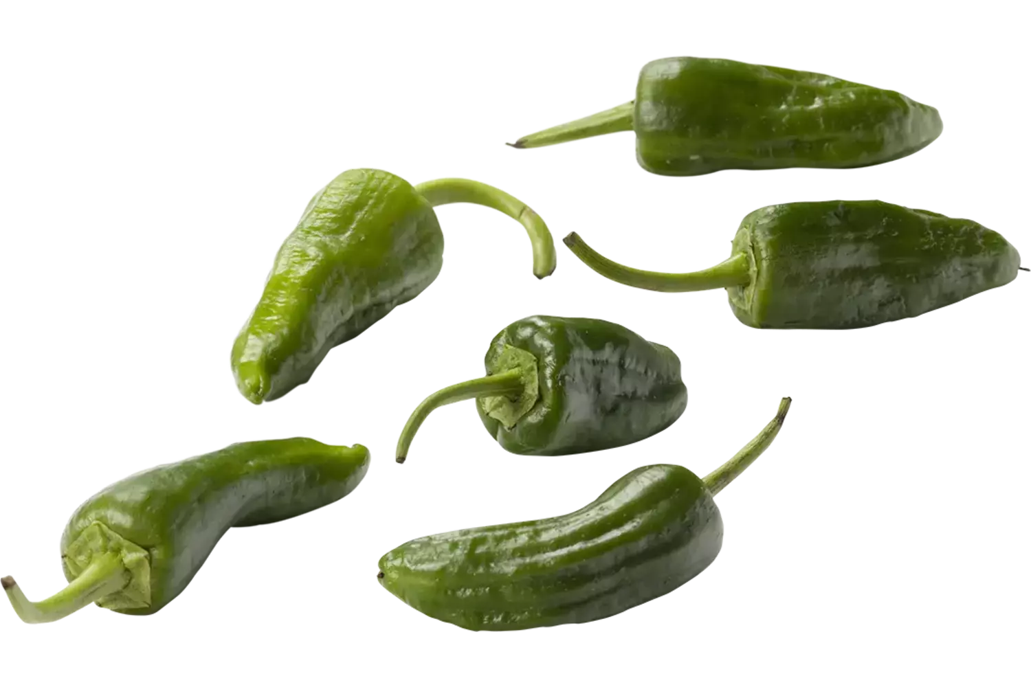 Pimiento de padron pepers verpakt 250gr stuk 1