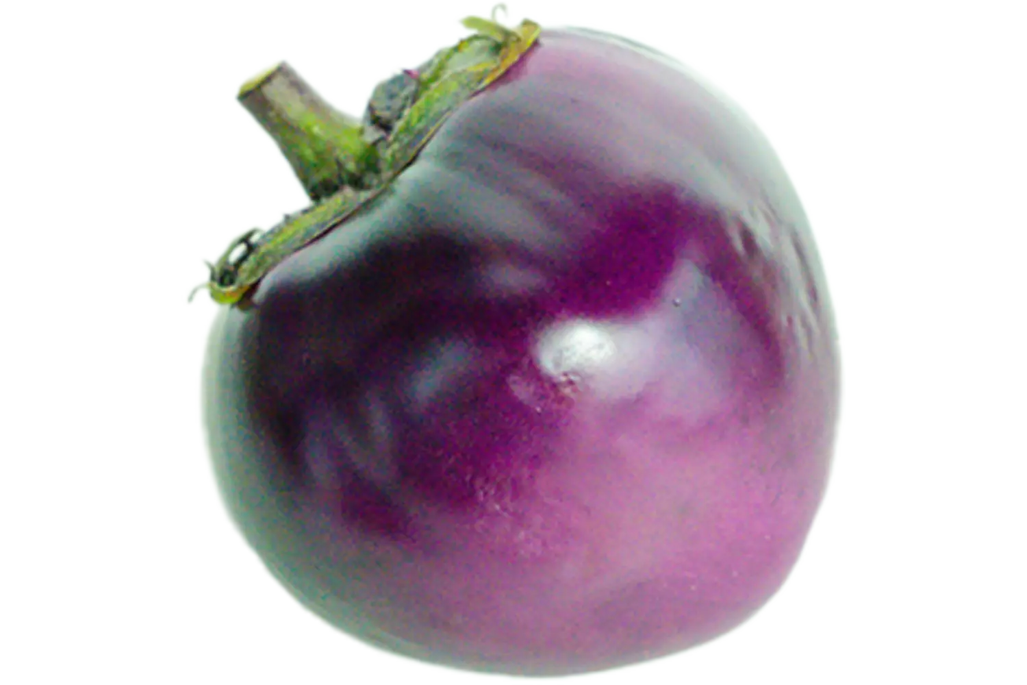 Aubergine palada (purpera) stuk 1