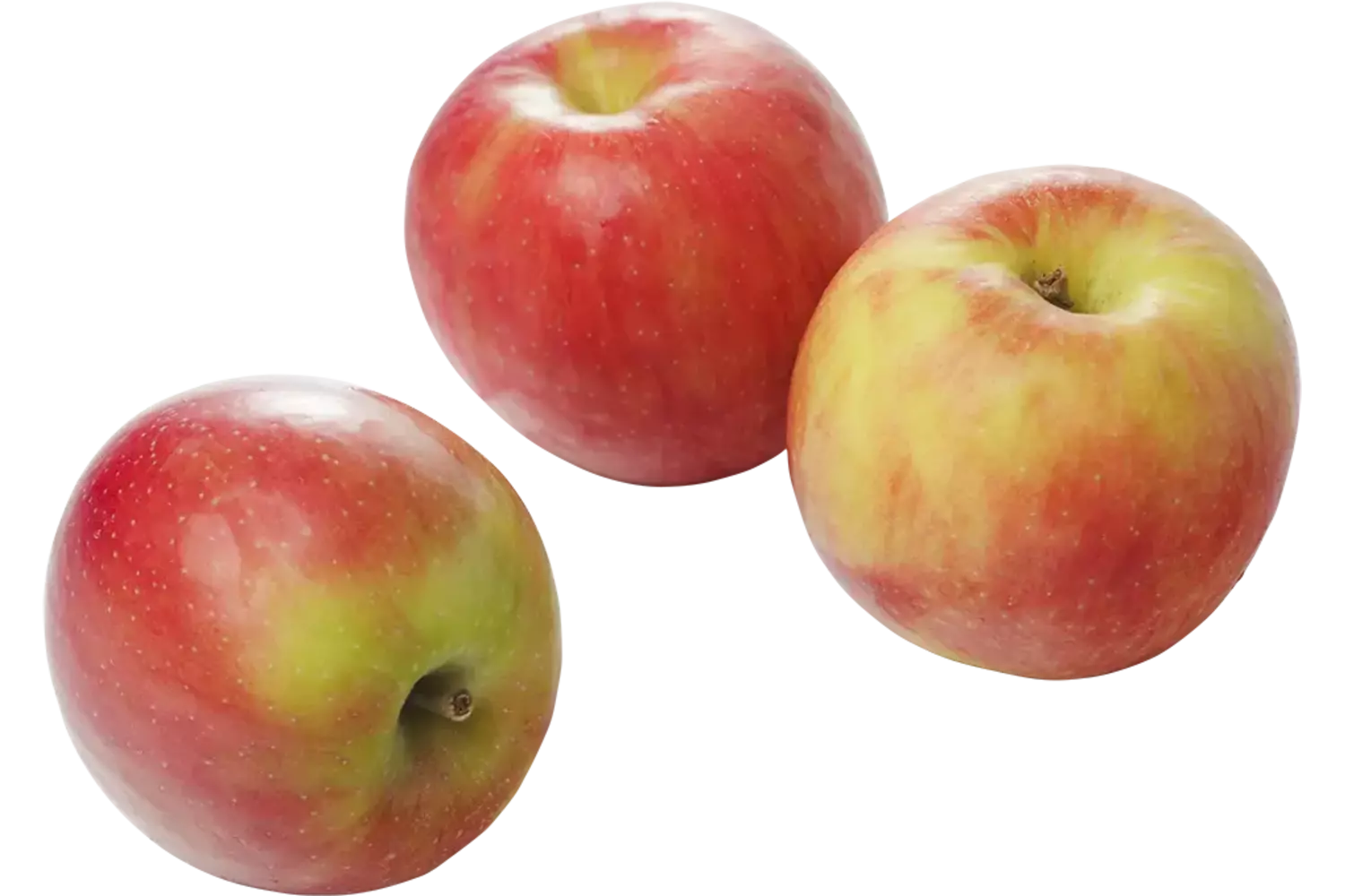 Elstar appels tray 3kg kist 3 kilogram 1
