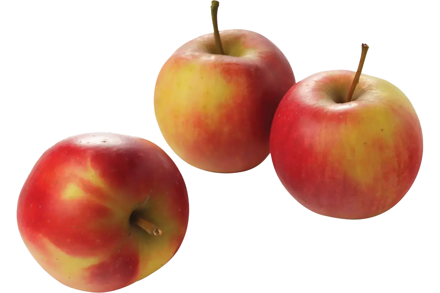 Pink lady appels verpakt 6st stuk 1