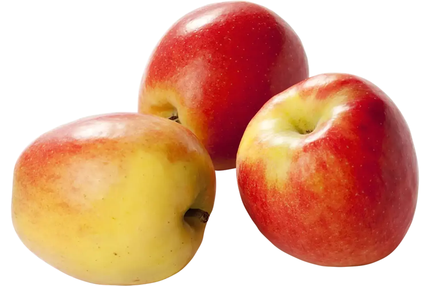 Jazz appels verpakt 6st stuk 1