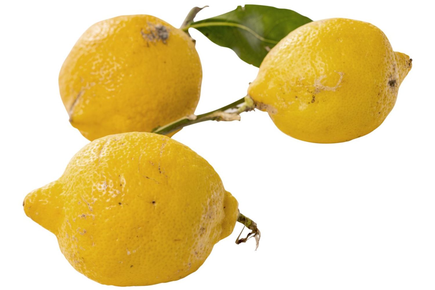 Amalfi citroenen verpakt 500gr kist 6 stuks 1