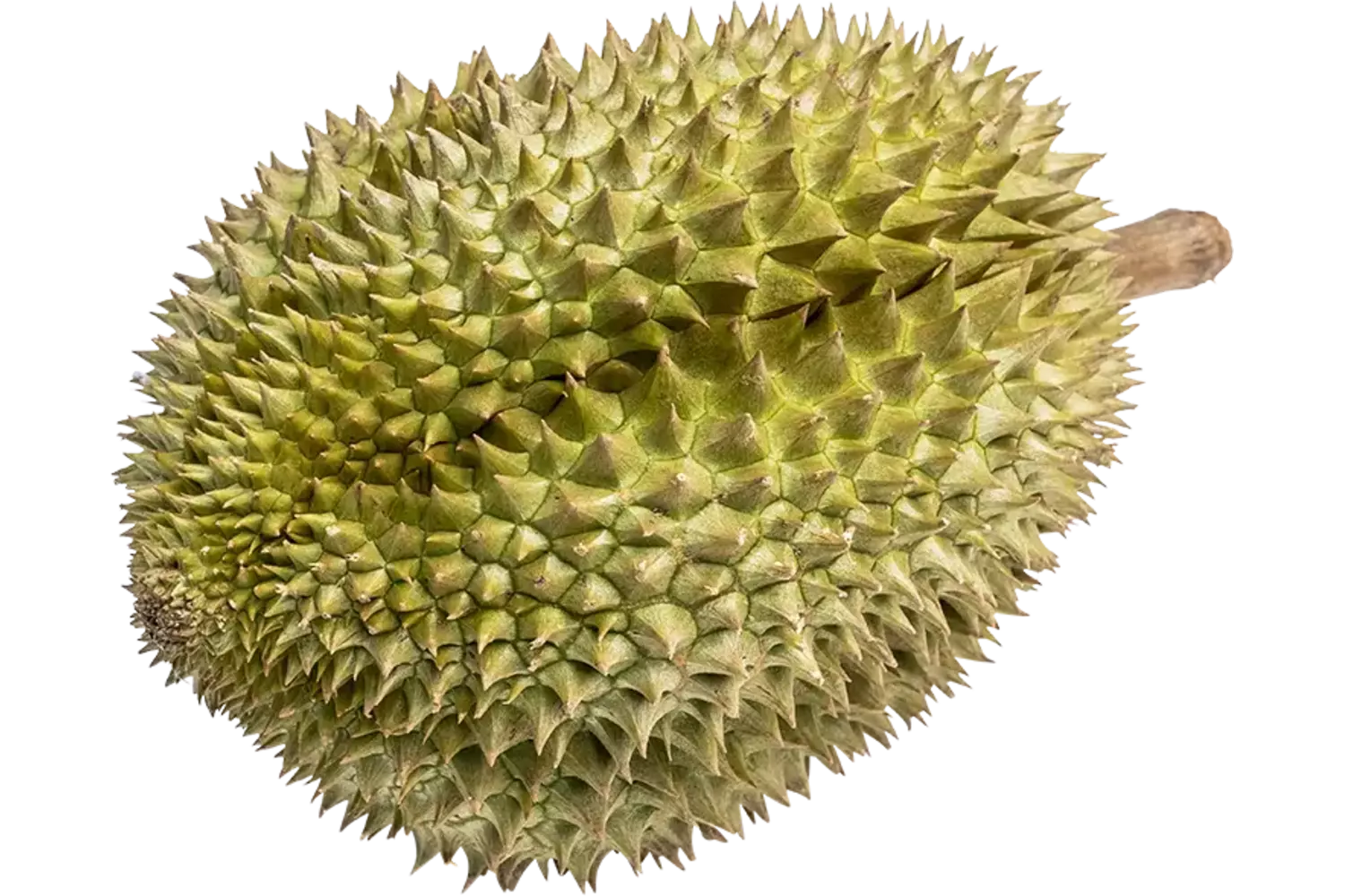 Durian 2st kist 5 kilogram 1