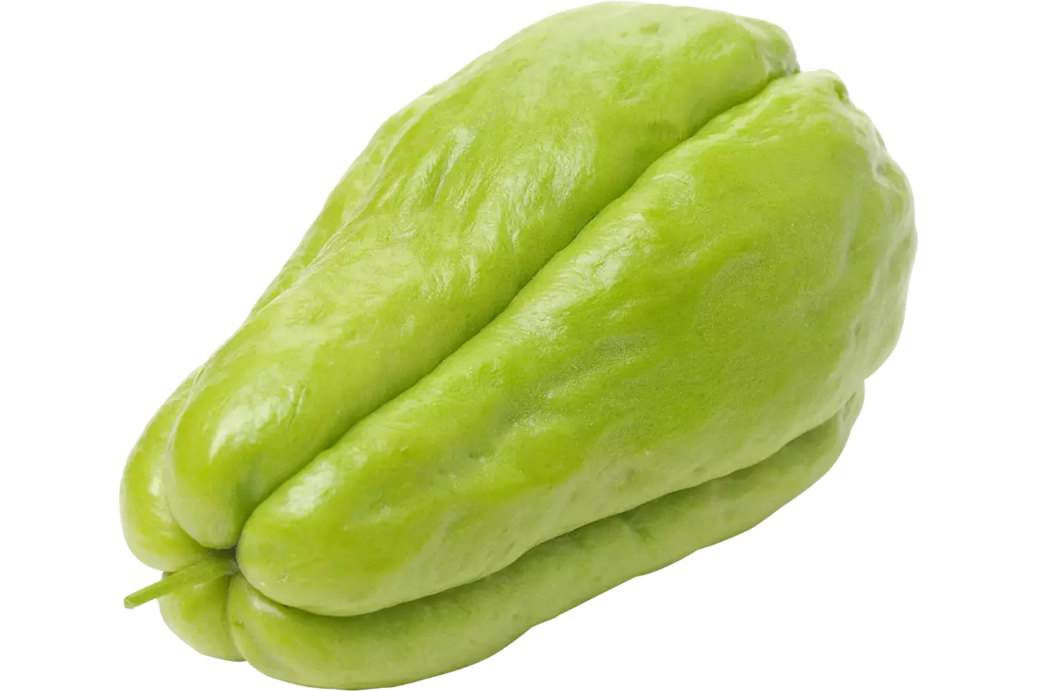 Chayote kist 25 stuks 1