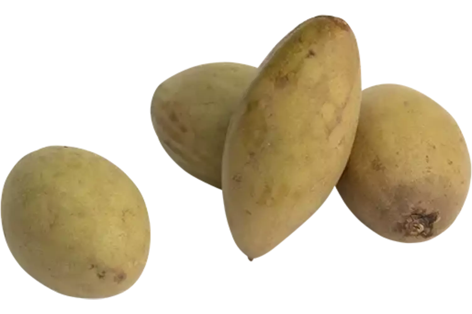 Sapodilla doos 2kg stuk 1
